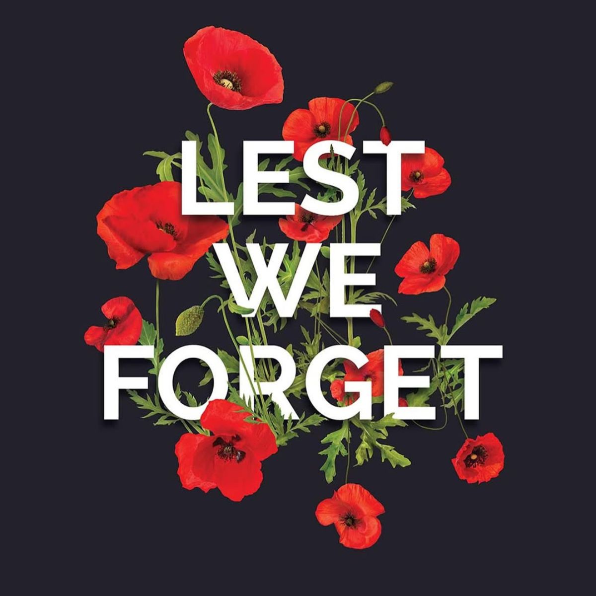 Lest We Forget Remembrance Day