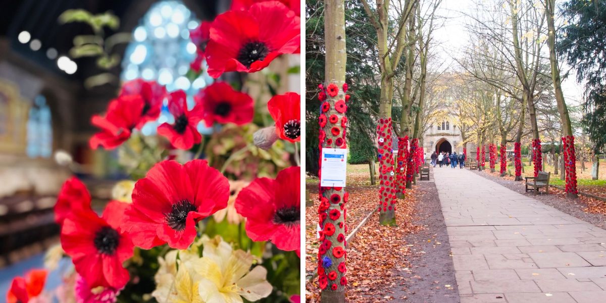 Streets filled with red poppies for Remembrance Day