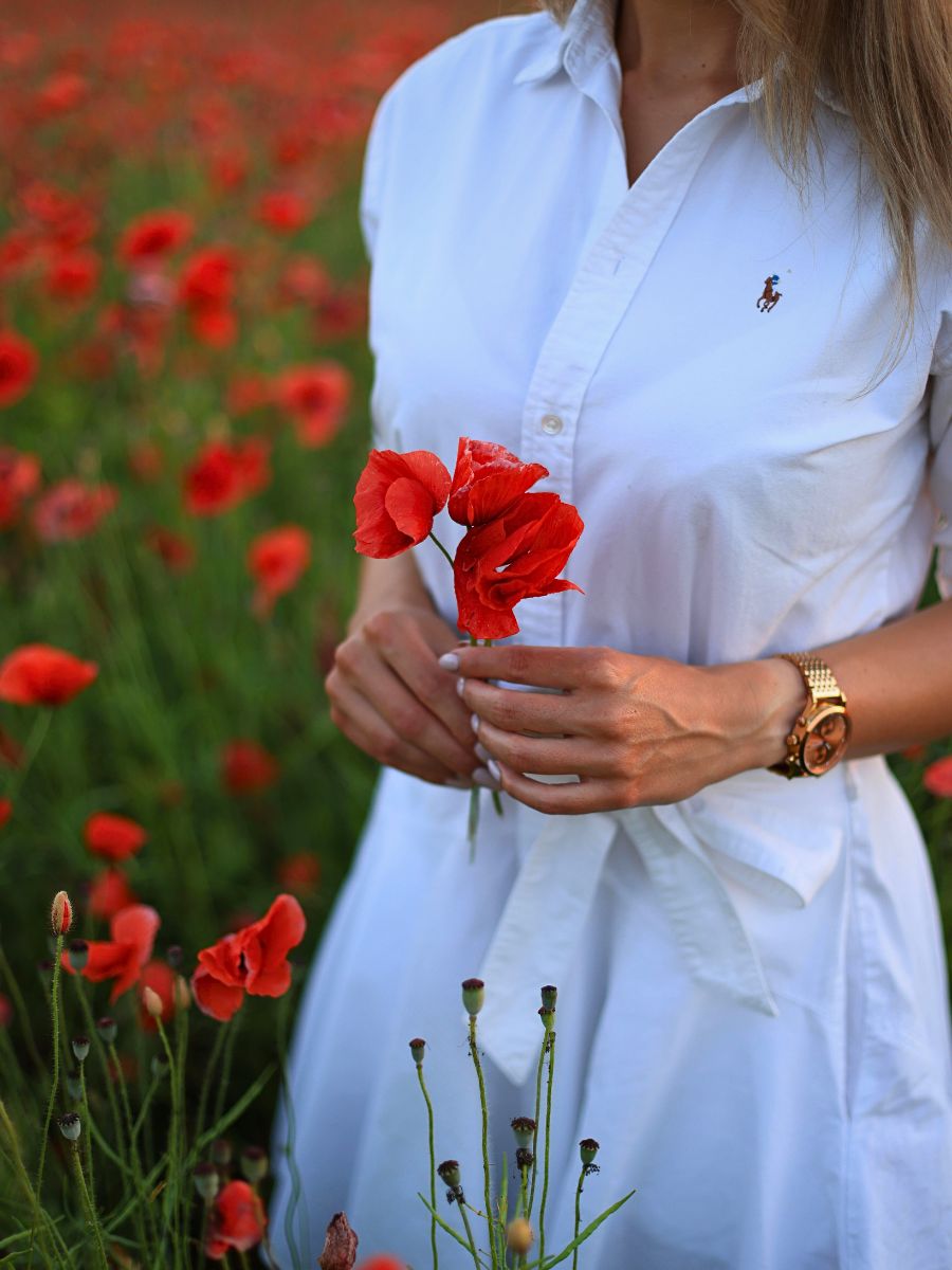 woman holding these merely beautiful flowers - the red poppy