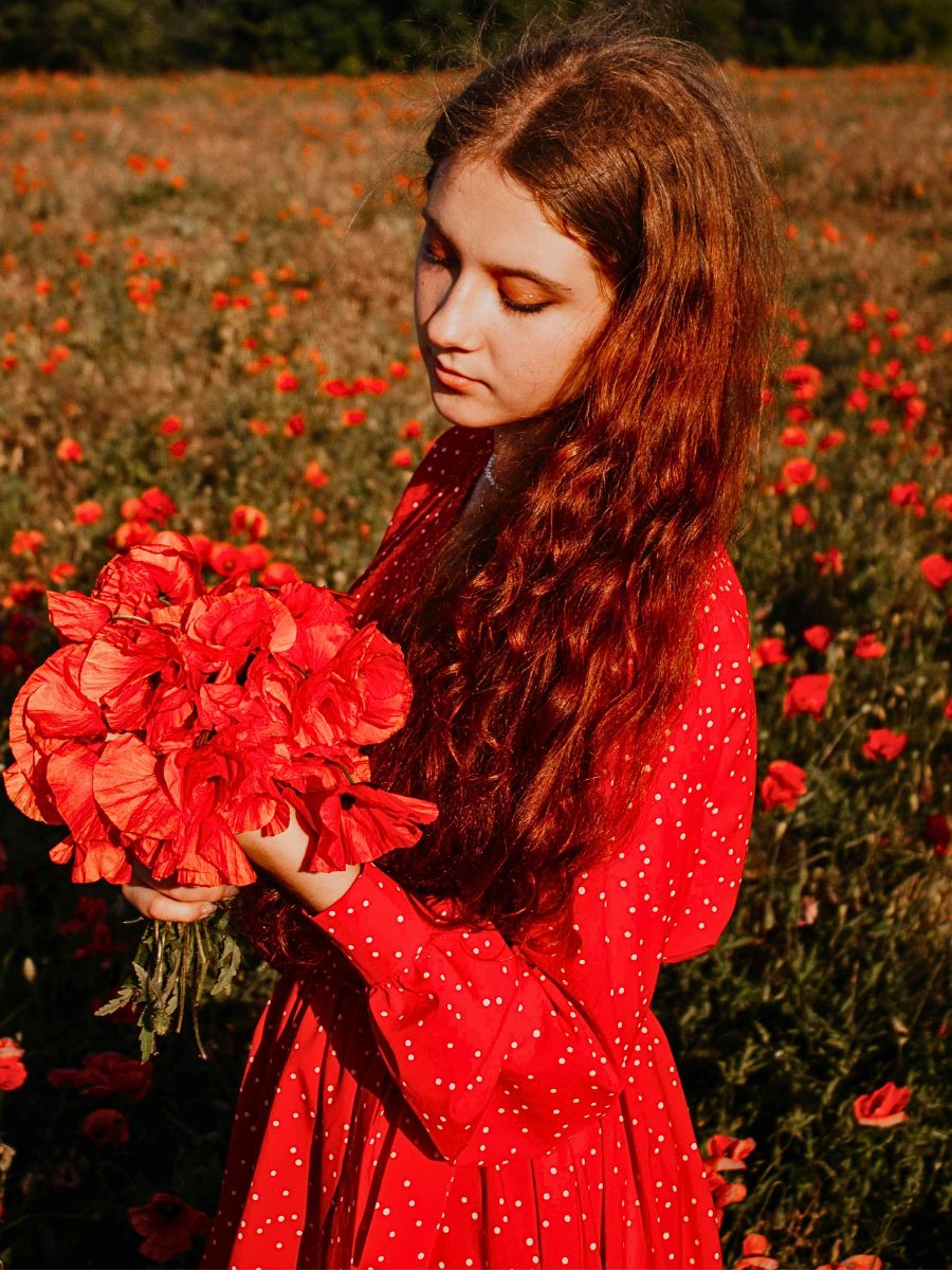 striking red color of the poppy flowers