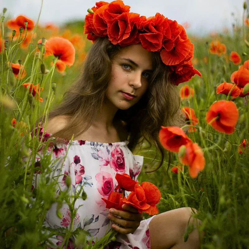 Poppy Flower Meaning and Symbolism Across Different Cultures