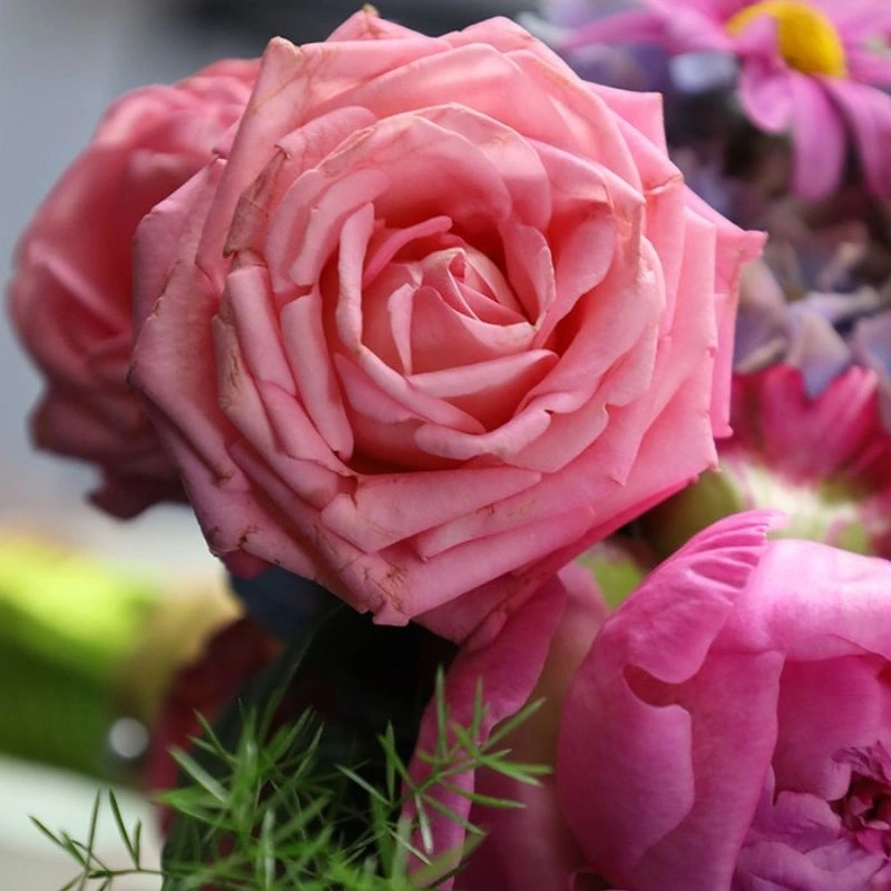 Preventive Electrical Maintenance Houston Feature Image