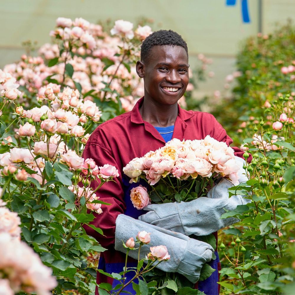 Understanding What Is Greywater in General Sustainable Floriculture Operations and Its Benefits - Thursd Article.