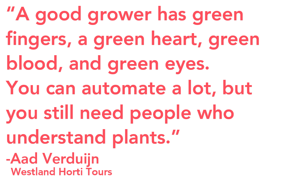 Aad Verduijn Westland Horti Tours growers quote Aad Verduijn Westland Horti Tours growers quote