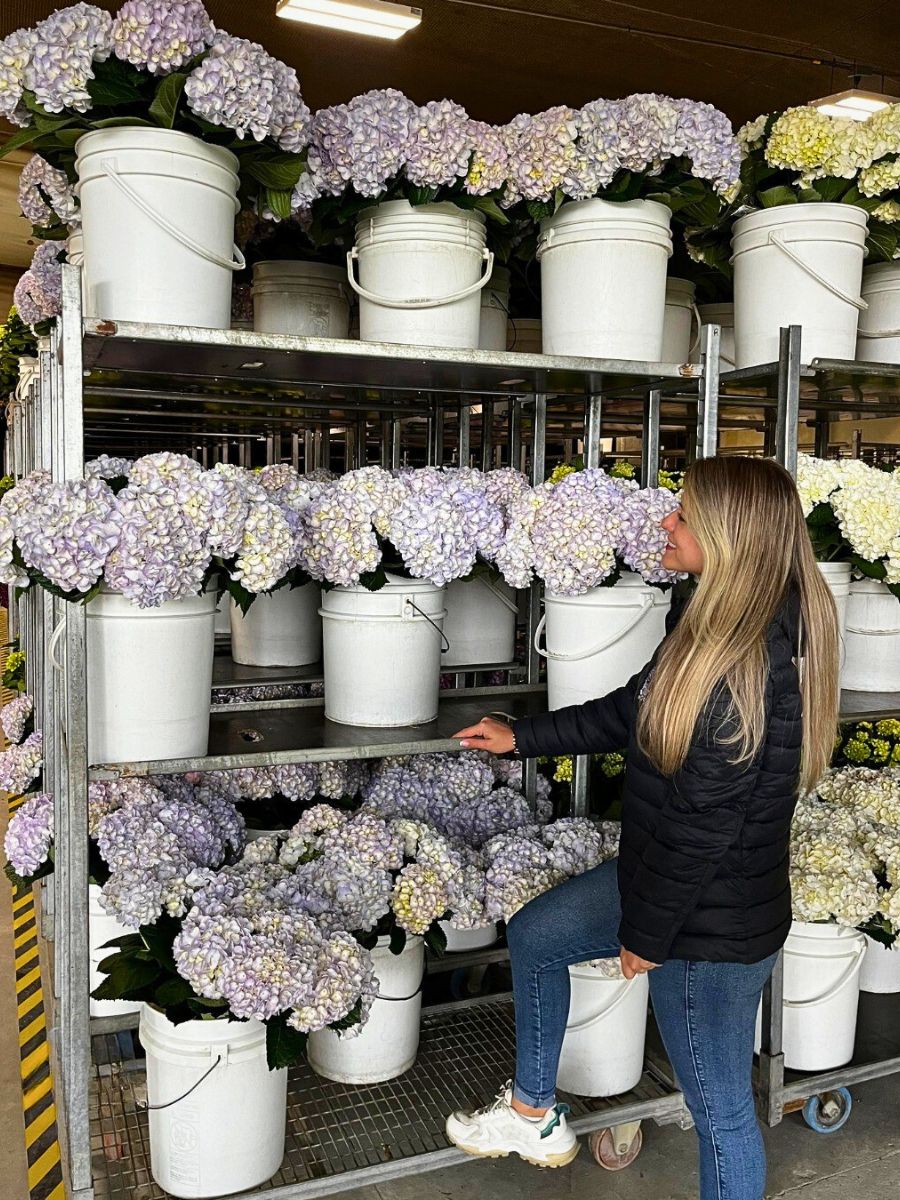 Understanding What Is Greywater in General Sustainable Floriculture Operations and Its Benefits - Thursd Article.