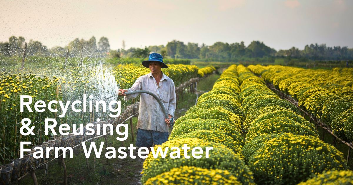 Understanding What Is Greywater in General Sustainable Floriculture Operations and Its Benefits - Thursd Article.