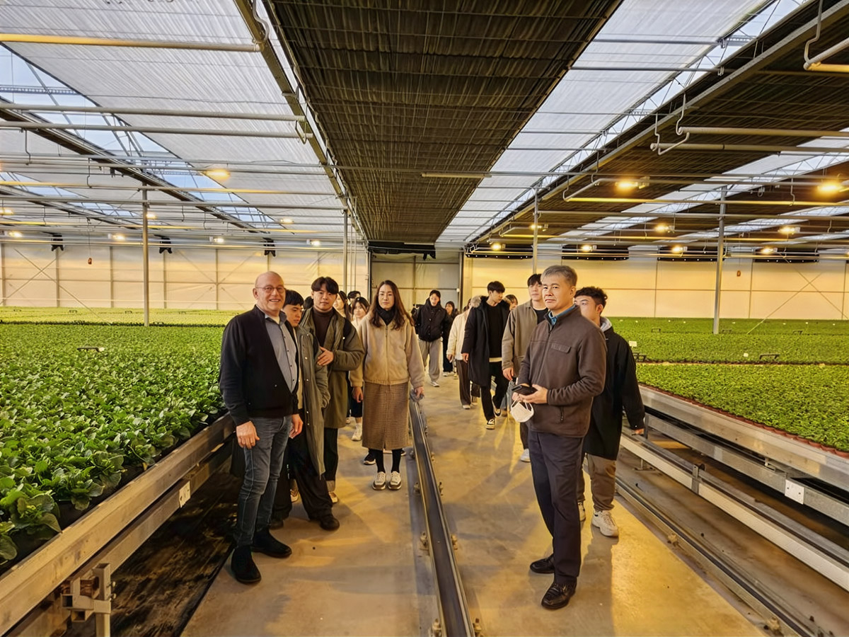 Aad Verduijn at Chrysant grower with Korean group