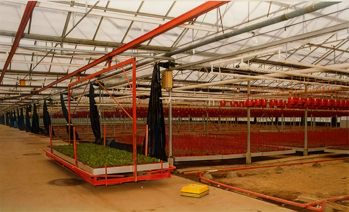 Aad Verduijn Westland Horti Tours Roll Containers