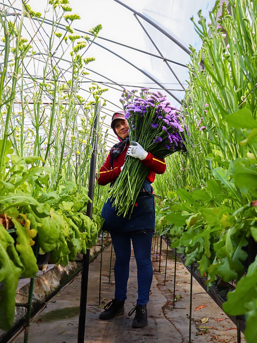 Understanding What Is Greywater in General Sustainable Floriculture Operations and Its Benefits - Thursd Article.