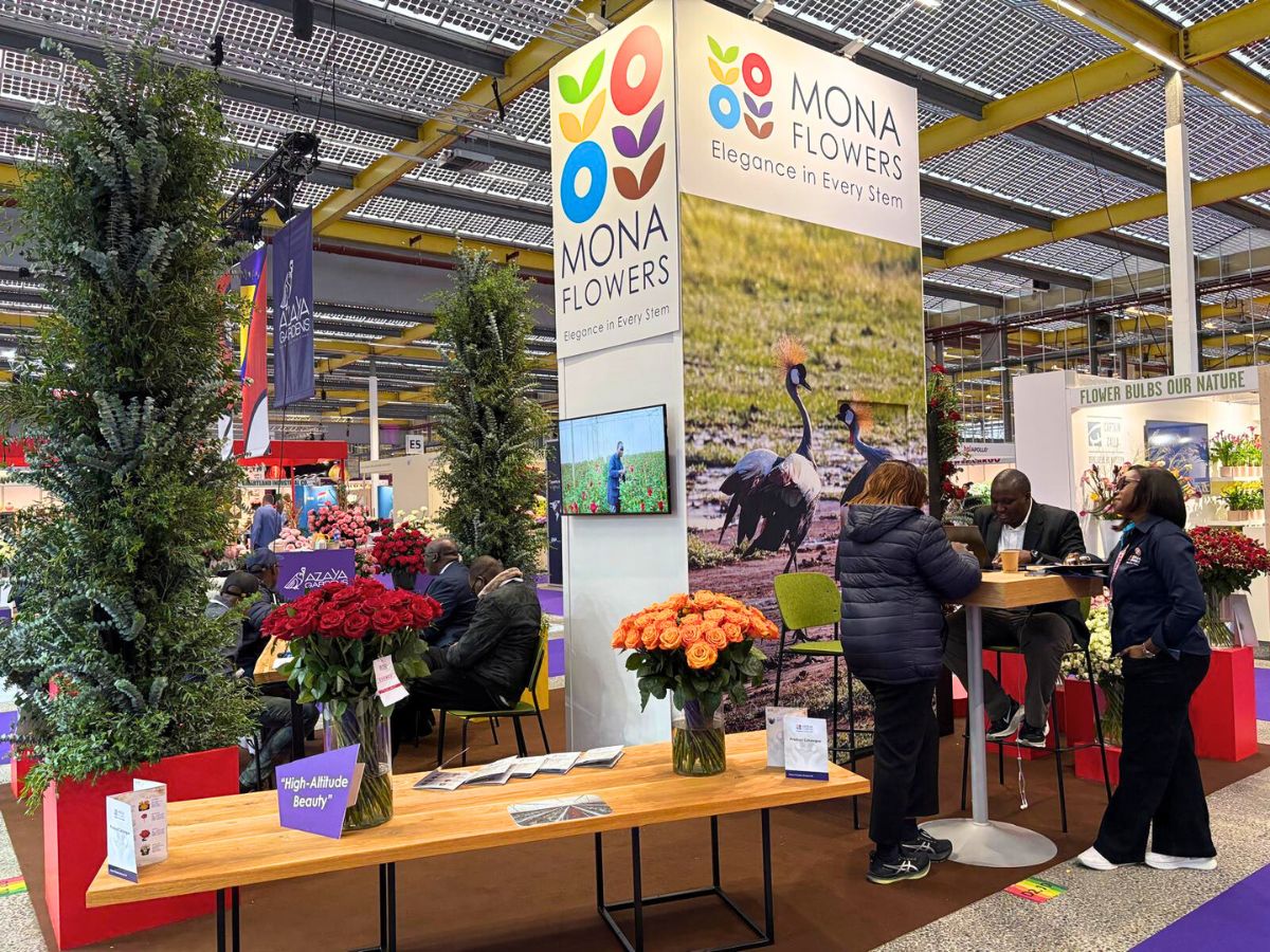 Mona Flowers Mona Flowers