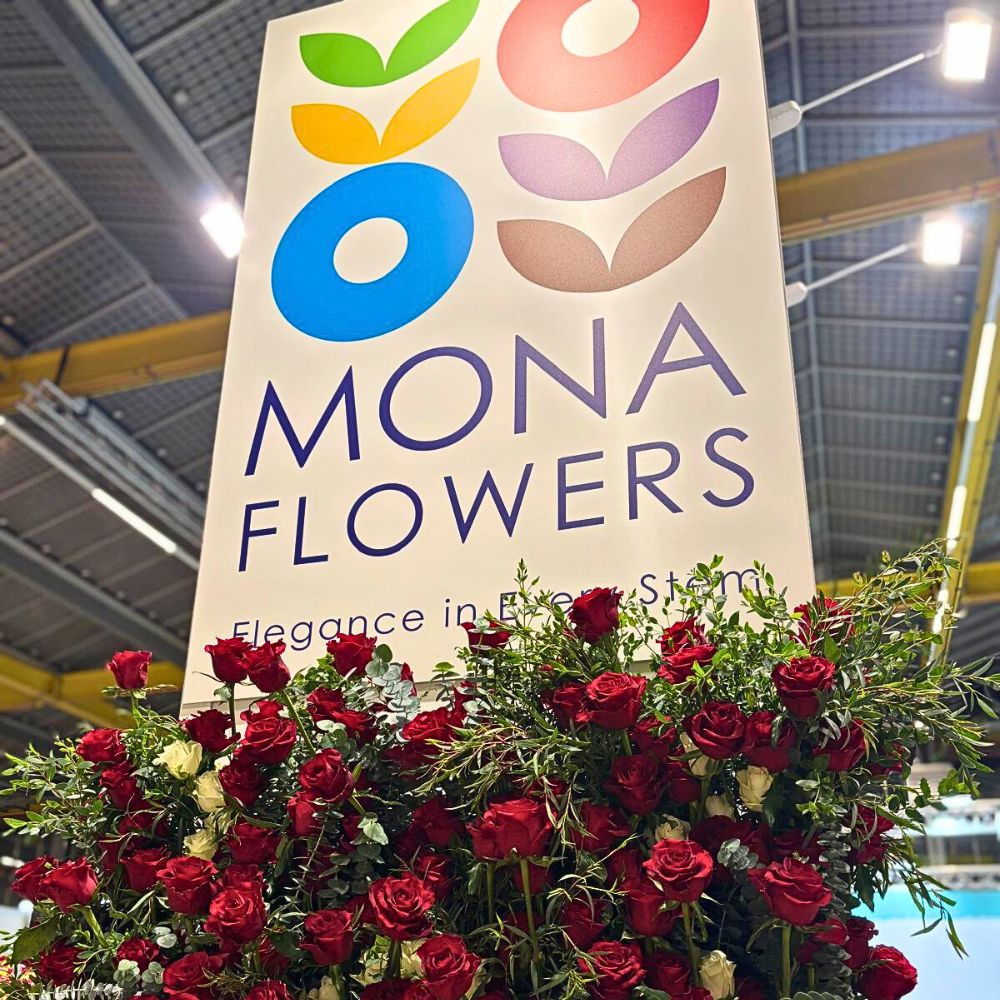 Mona Flowers Mona Flowers