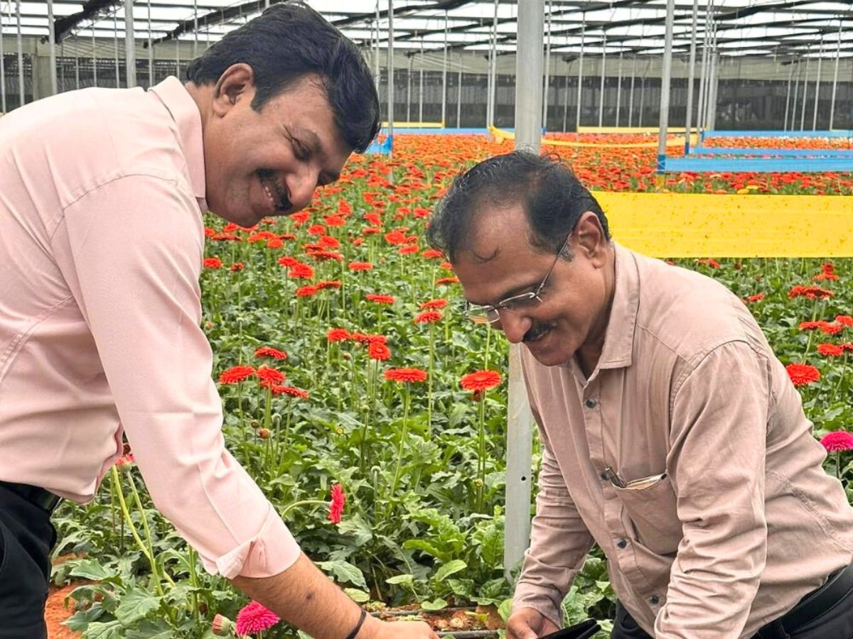 10 Questions to Narendra Patil