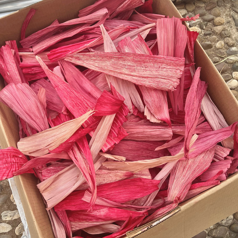 Bright pink and red corn husks Bright pink and red corn husks