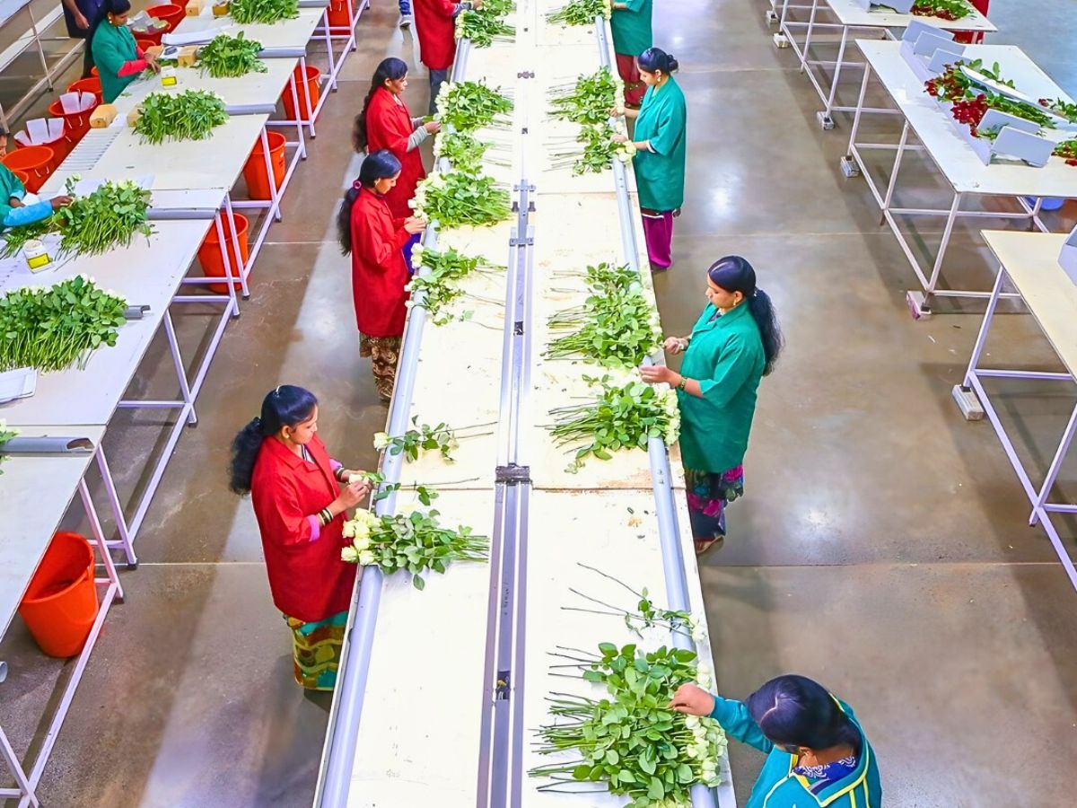 10 Questions to Narendra Patil