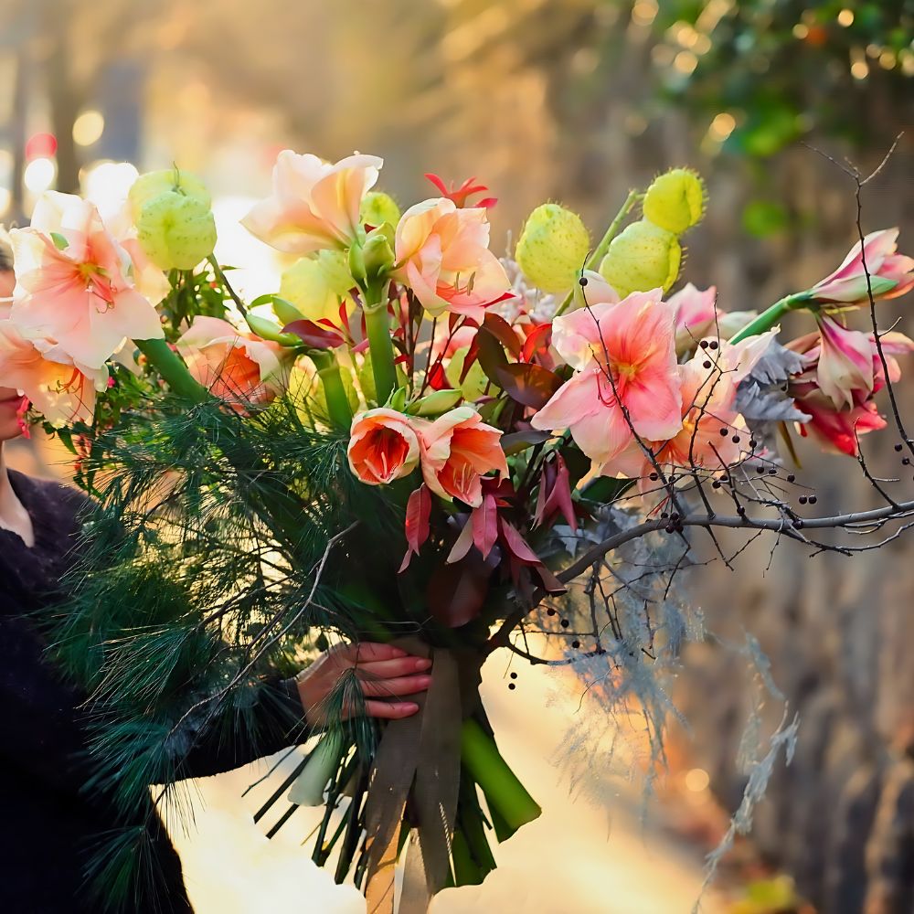 Amaryllis is a member of the Amaryllis family also called Amaryllidaceae