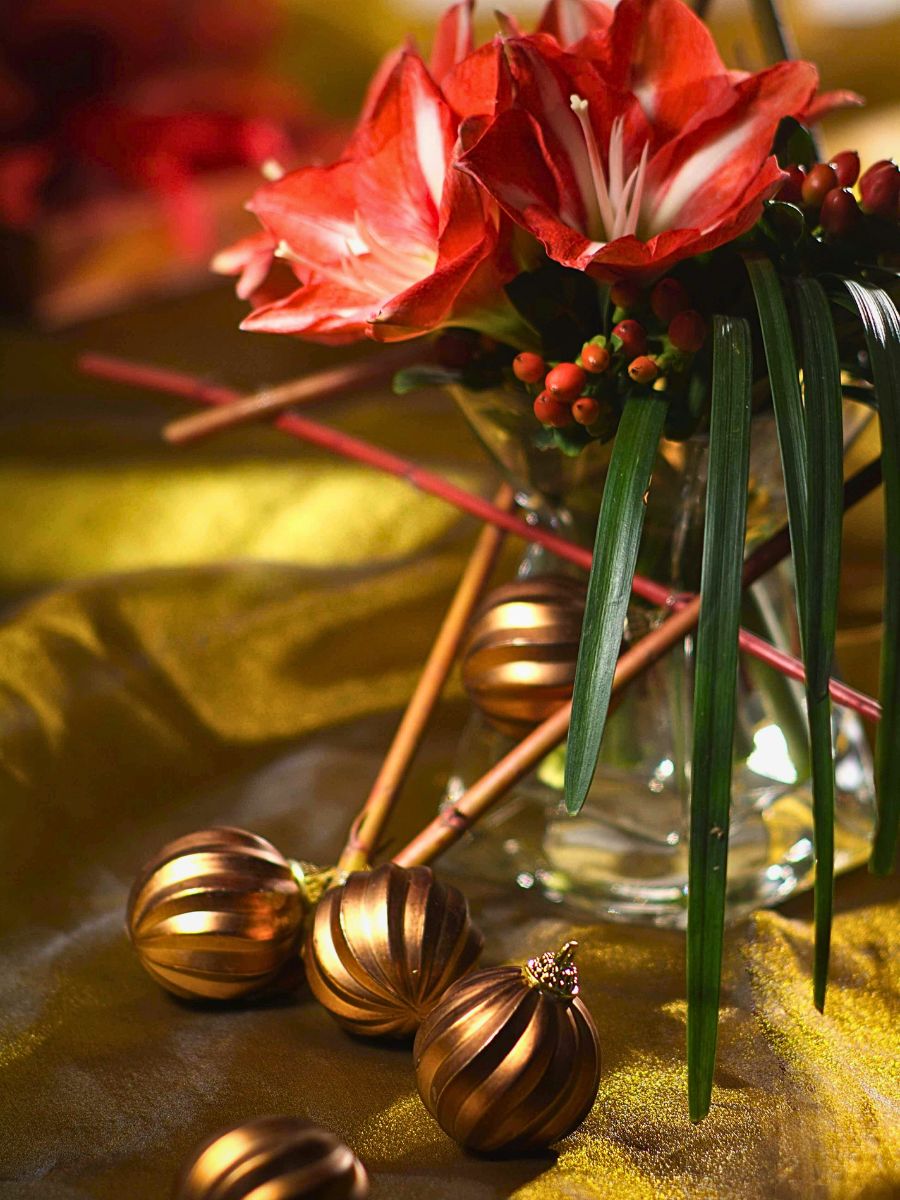 Amaryllis Flower Meaning