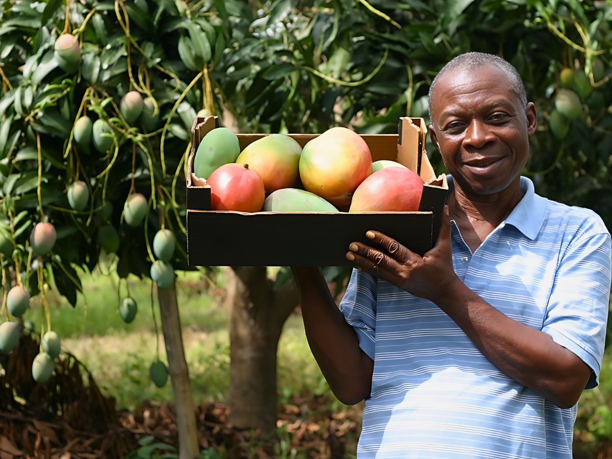 Fairmiles Calls for Fairness and Accuracy in the Race to Net Zero