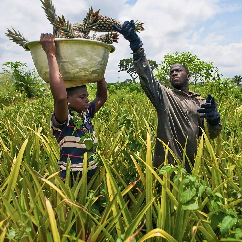 Fairmiles Calls for Fairness and Accuracy in the Race to Net Zero