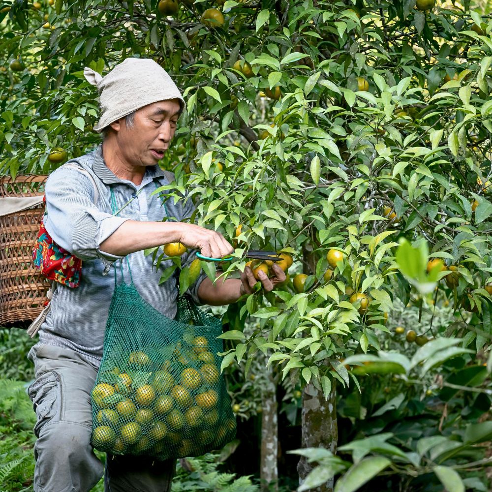 Fairmiles Calls for Fairness and Accuracy in the Race to Net Zero