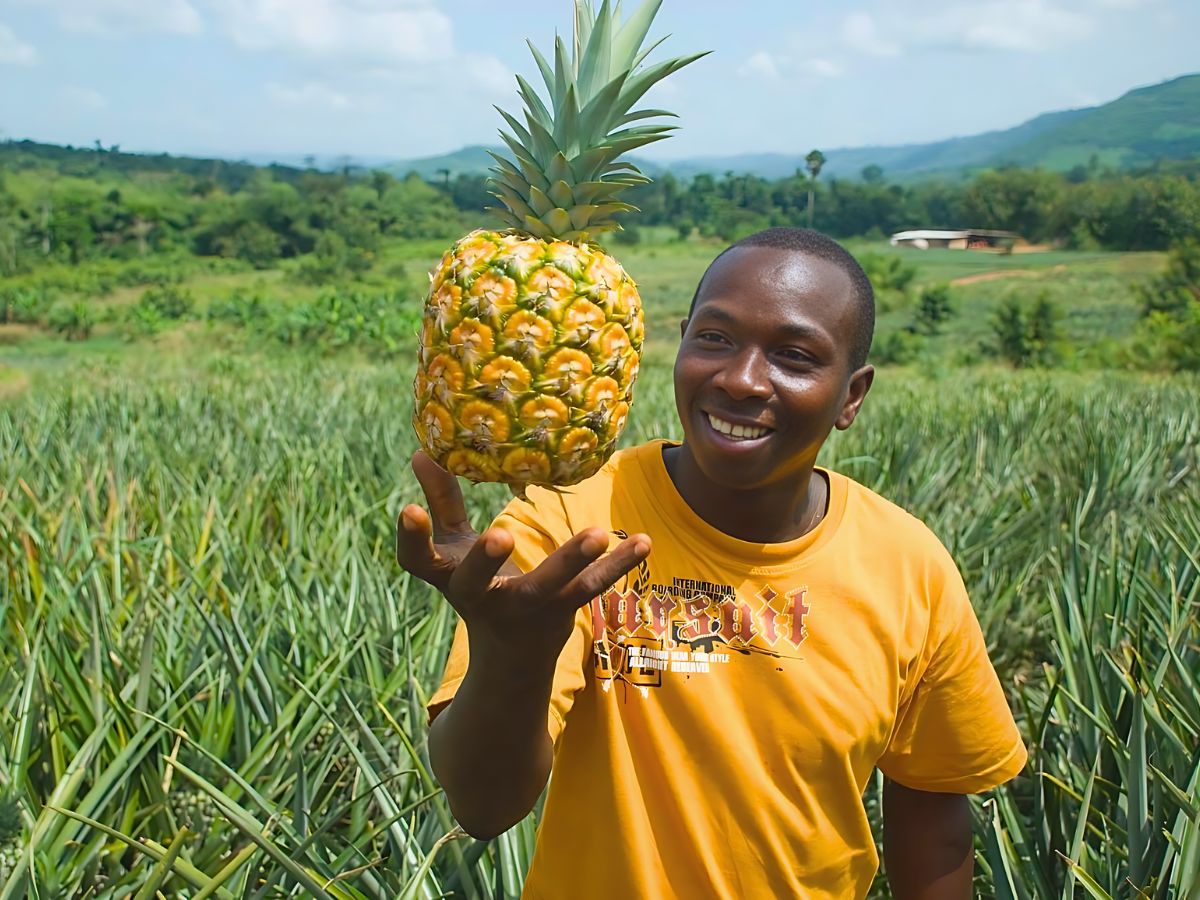 Fairmiles Calls for Fairness and Accuracy in the Race to Net Zero