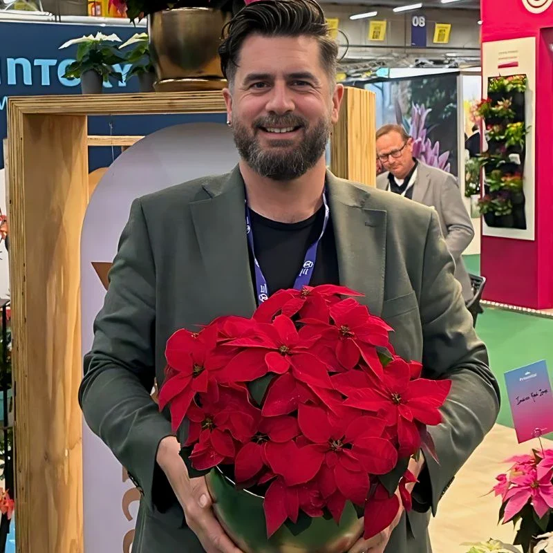 Princettia®: The Modern Twist on the Classic Poinsettia