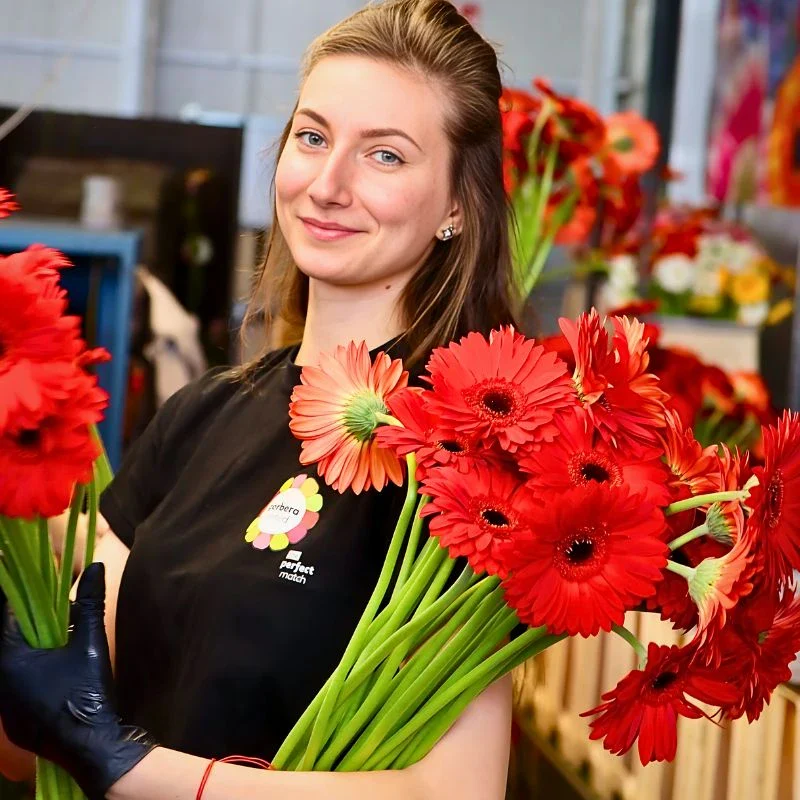 Gerbera Flower Meaning, Symbolism, and Its Lively Disposition