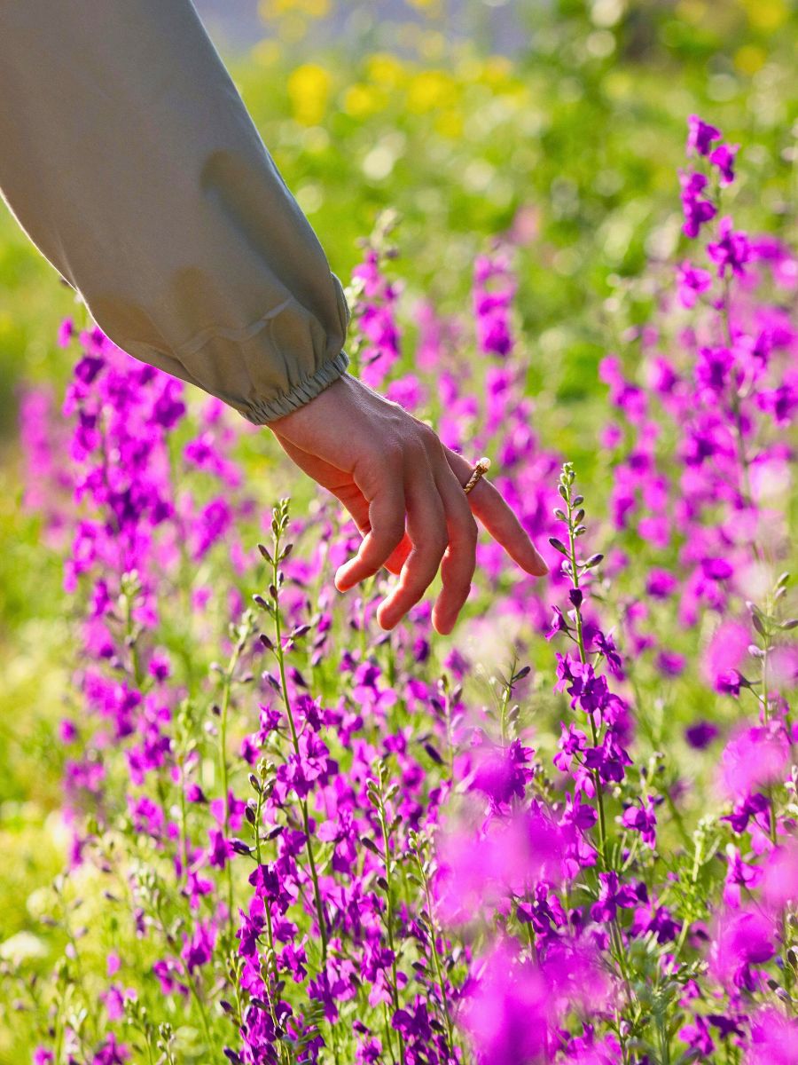 Reflections on Embracing Season Changes to Improve Well-Being Inspired by Nature