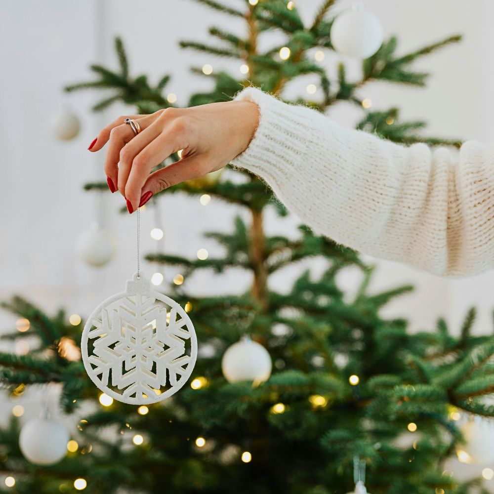 Embracing Seasonal Shifts to Improve Well-Being Inspired by Nature