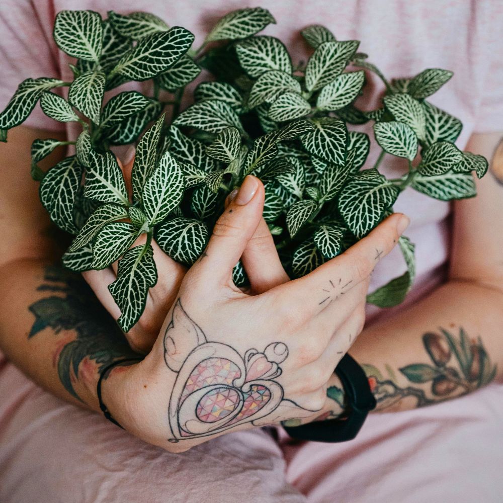 Embracing Seasonal Shifts to Improve Well-Being Inspired by Nature