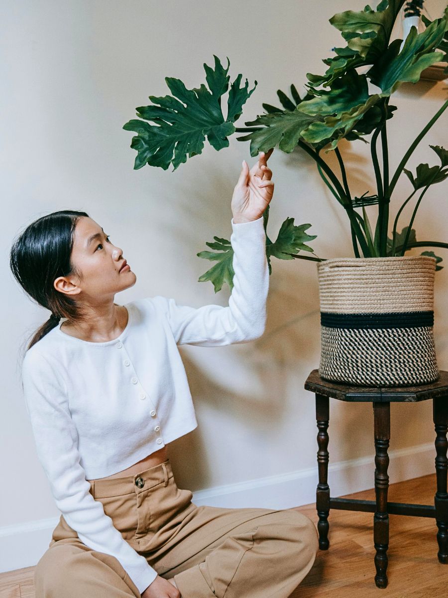 Reflections on Embracing Season Changes to Improve Well-Being Inspired by Nature