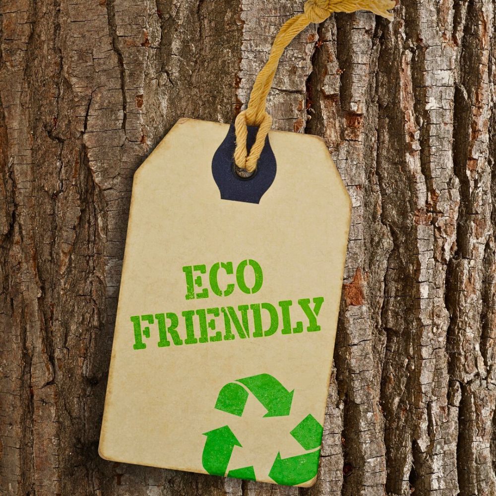 The Sustainability Dilemma – Can There Be a ‘Right Way’ to Greenwashing?