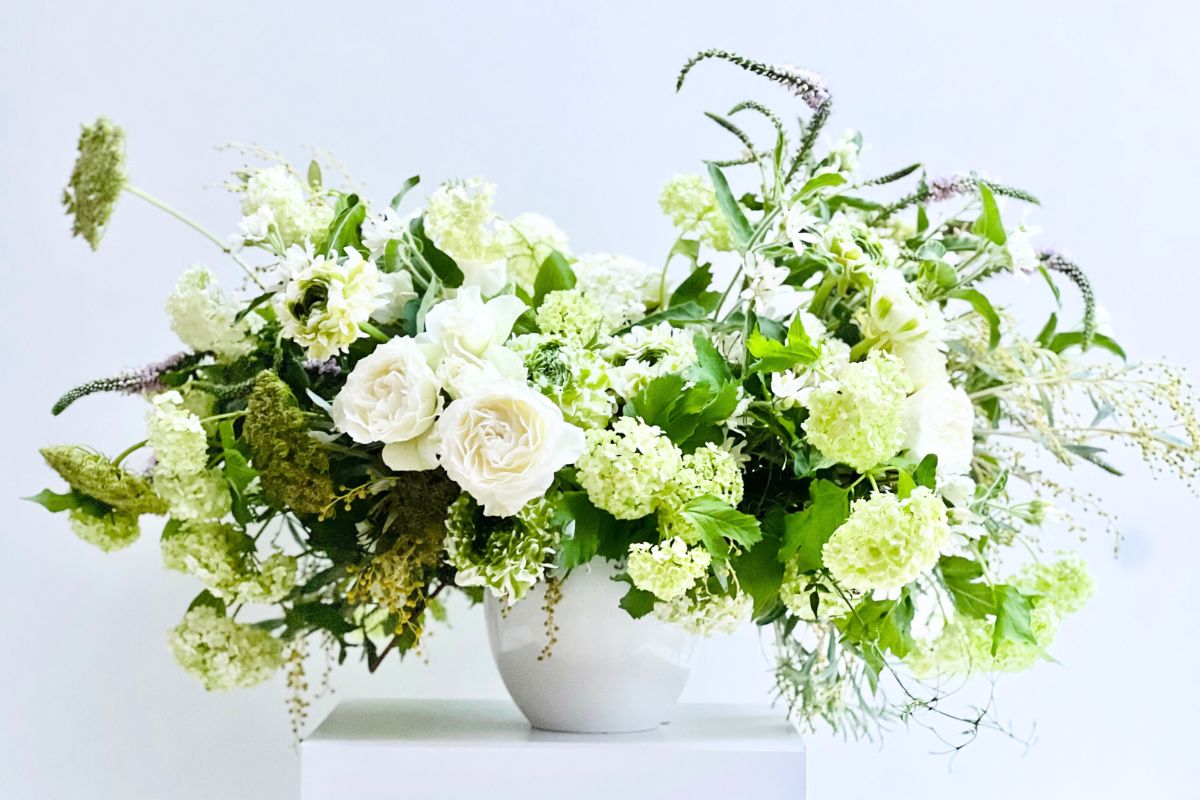 Spray rose Blanche by Alexandra Farms