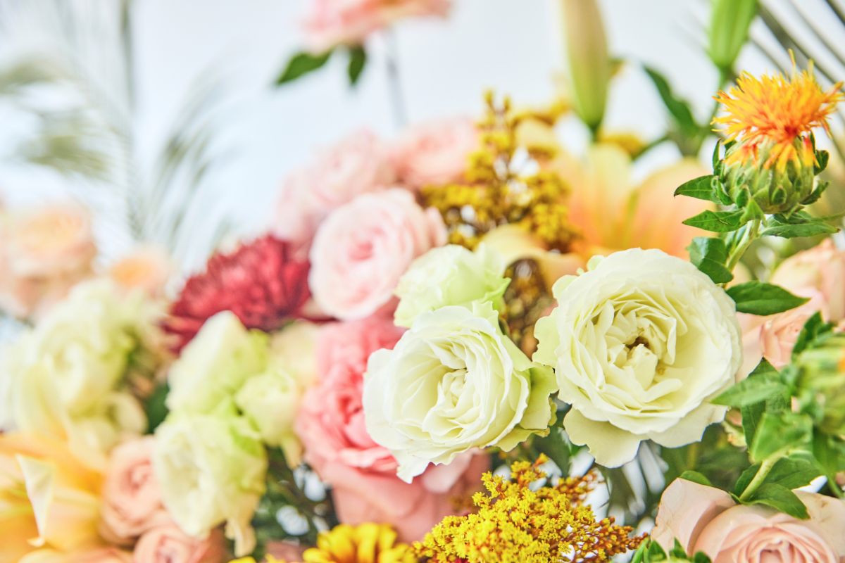 Spray rose Blanche with other colorful flowers Spray rose Blanche with other colorful flowers
