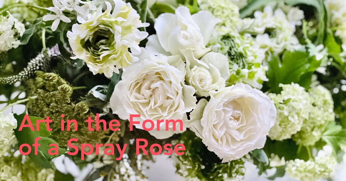 Spray Rose Blanche