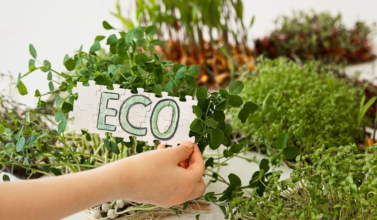 Why Businesses Greenwash