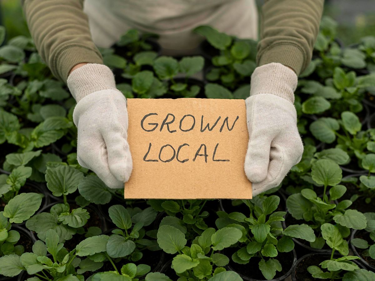 Why Businesses Greenwash