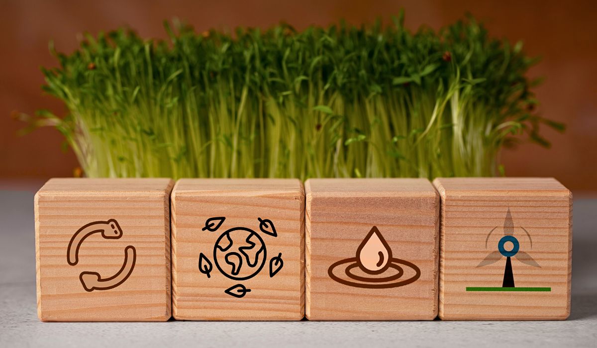 There Is No ‘Right Way’ to Greenwash