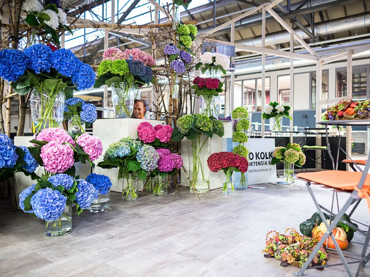 10 Questions to Jan de Boer