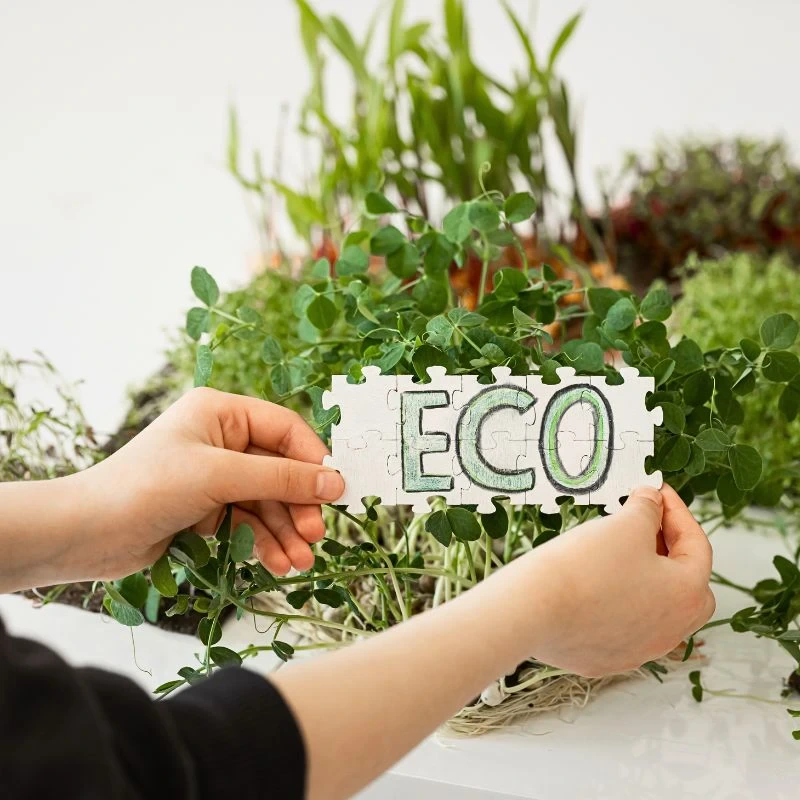 Why There’s No ‘Right Way’ to Greenwash Your Business