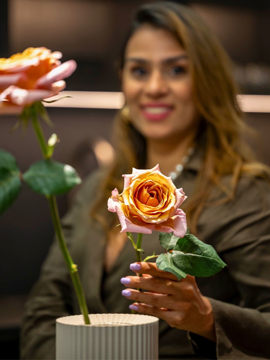 Breeder United Selections has just the perfect varieties for your year-round design and floral arrangement purposes.