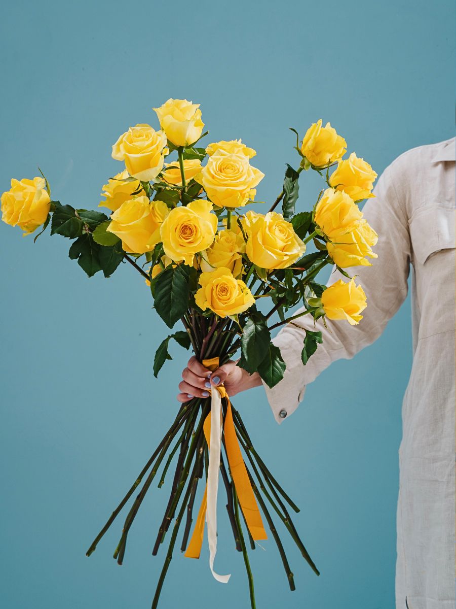 Breeder United Selections has just the perfect varieties for your year-round design and floral arrangement purposes.