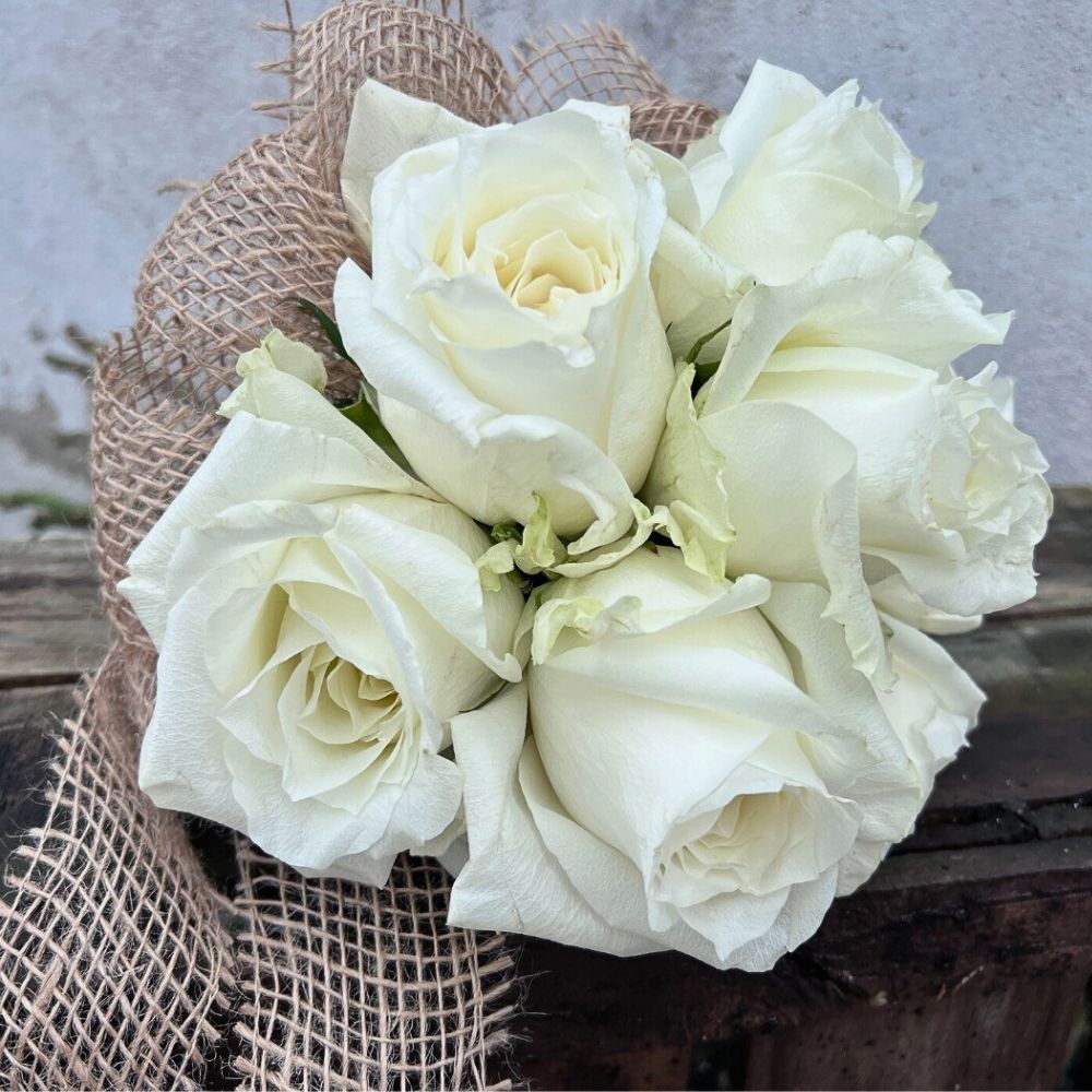 Breeder United Selections has just the perfect varieties for your year-round design and floral arrangement purposes.