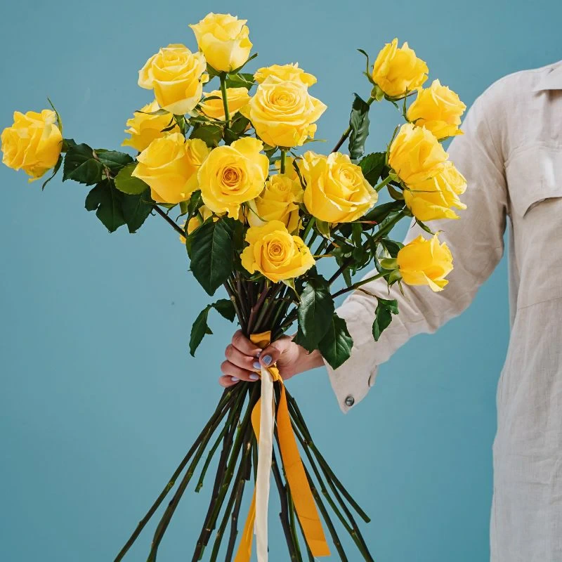 United Selections’ Roses That Will Shine in Your Designs Each Season