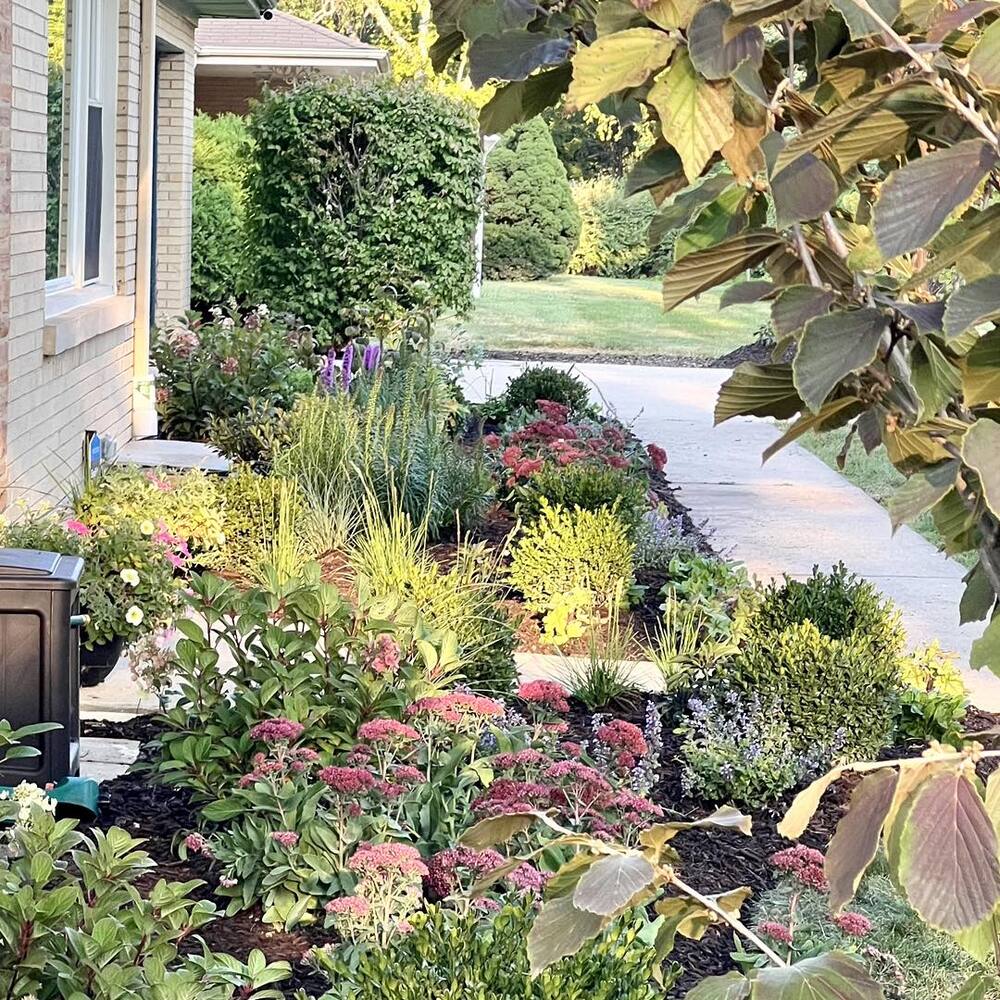 Vibrant layered garden along walkway