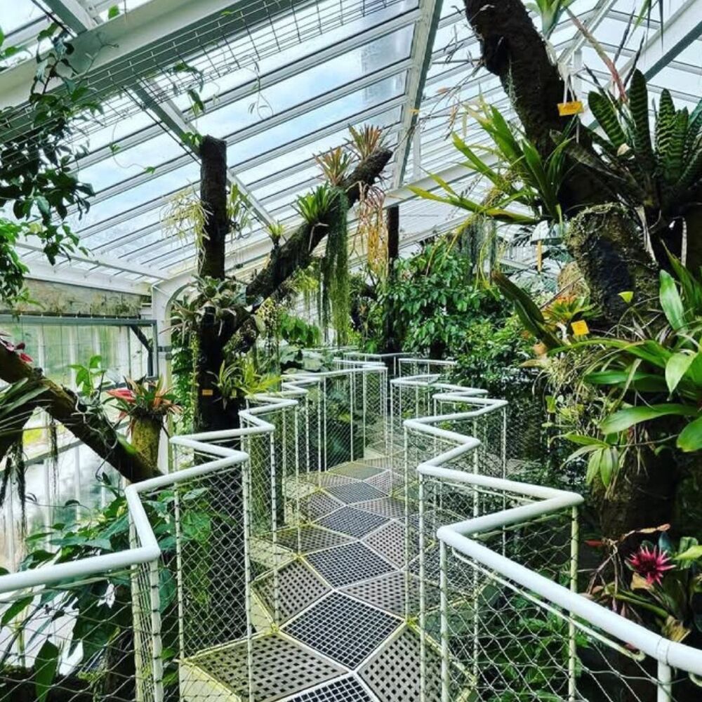 Greenhouse with elevated zigzag walkway