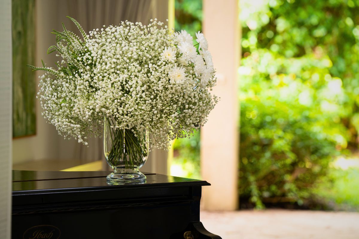 White Chrysanthemum, Xlence® Gypsophila and Skyler™ White Veronica 