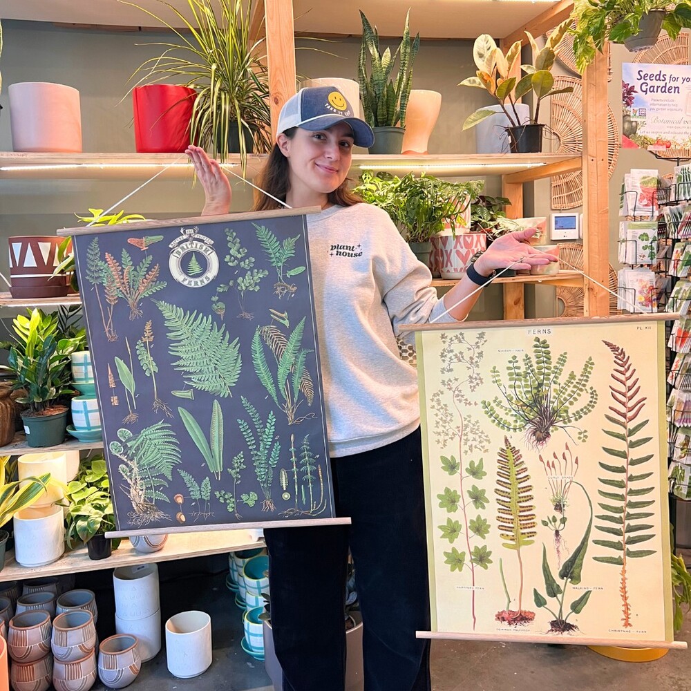  Woman holding two fern botanical posters