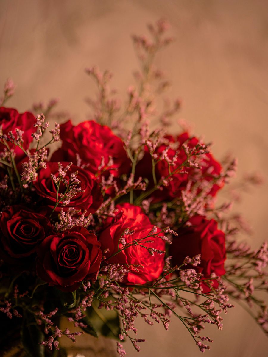 Senti® French Kiss Rose and Senti® Intensity Rose