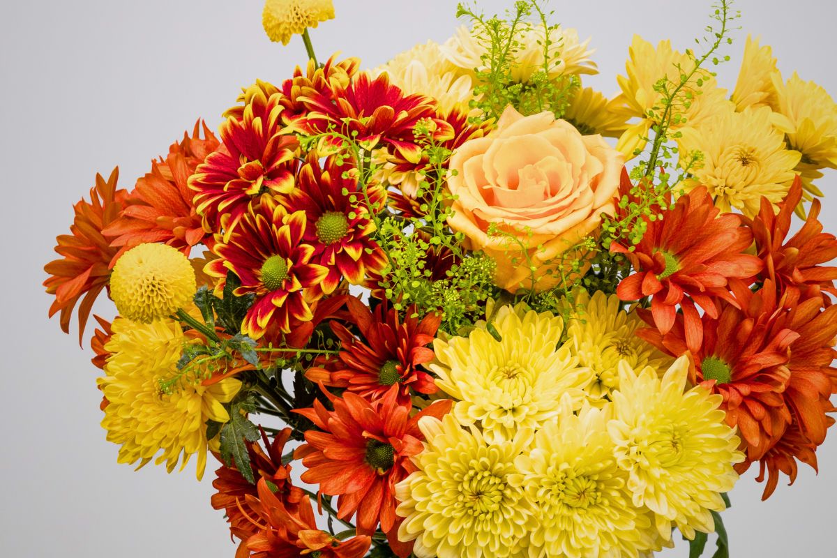 Fire, Sun and Nature as Chrysanthemums, Craspedia and Green Dragon for Danziger's Winter Trend Rustorange