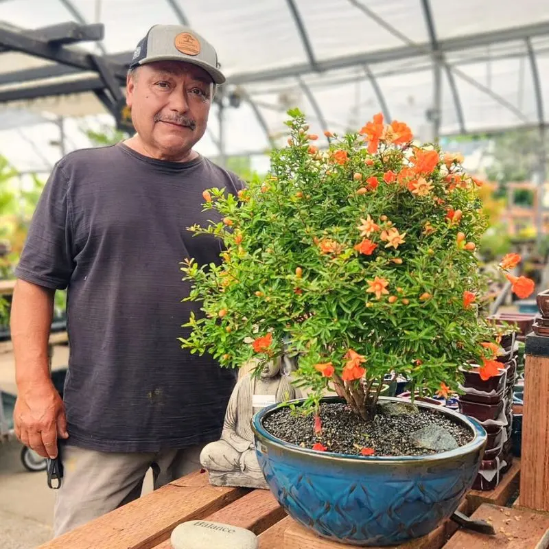 Layered Landscaping for Flat Yards Feature Image